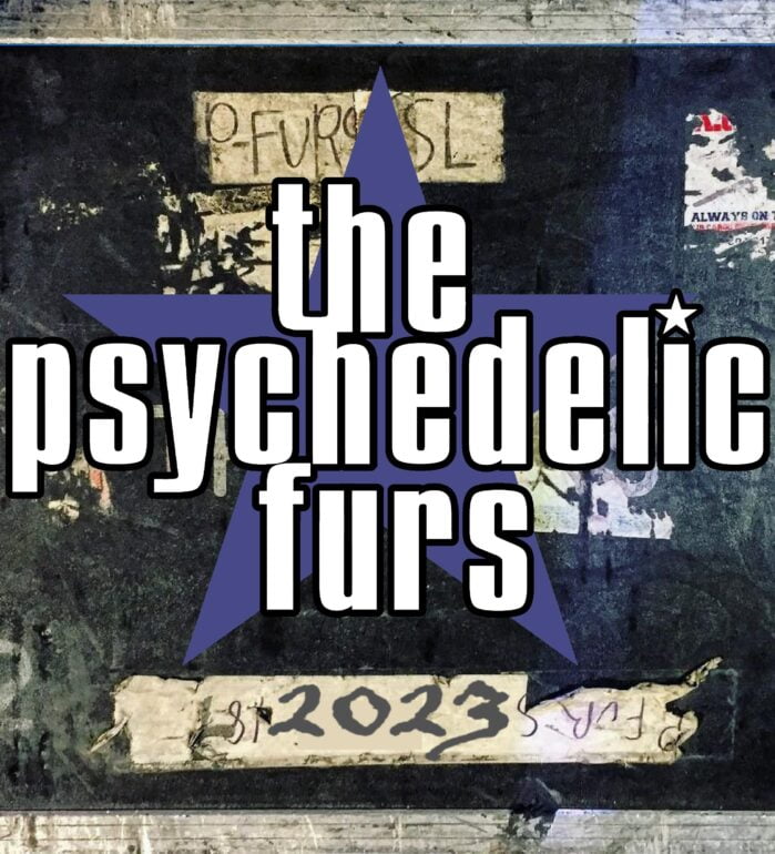 The Psychedelic Furs